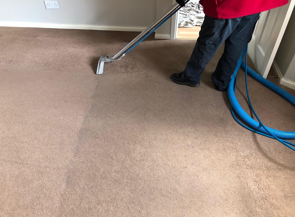 Carpet Cleaning North Shore: The Royalty of Clean Carpets